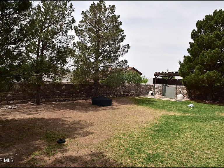 1316 Black Ridge Dr — Photo 46