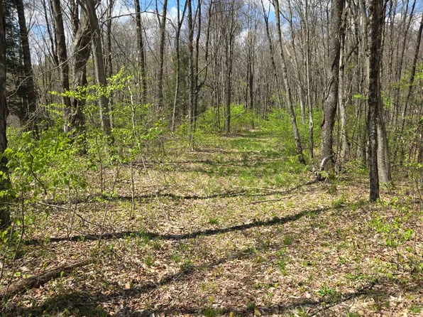 2536 Coggins Knob Rd, Mount Nebo, WV 26679