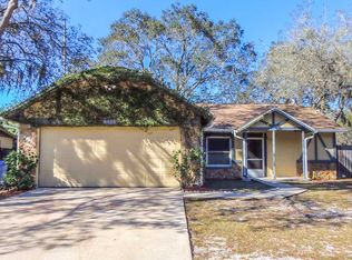 4115 Spring Way Cir, Valrico, FL 33596