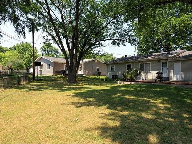 Back yard 3
