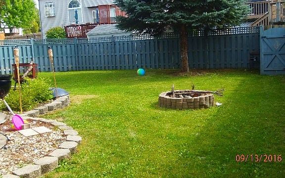 5th image of 23 W Dahlia Ln