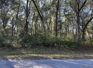 462 N Dugan Ave, Inverness, FL 34453