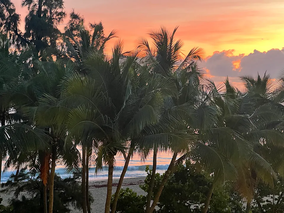 1 Taft St #4A