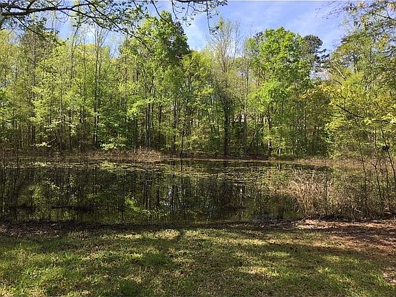 Spring-fed pond