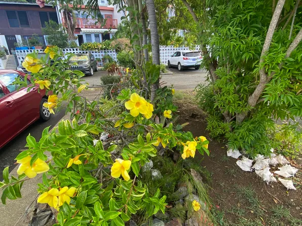 71 Mt. Welcome EA, St. Croix, VI 00820