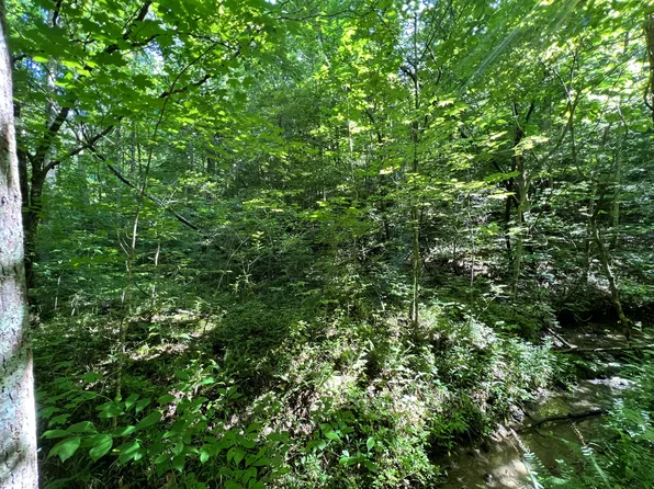 9999 Big Wildcat Rd, Manchester, KY 40962