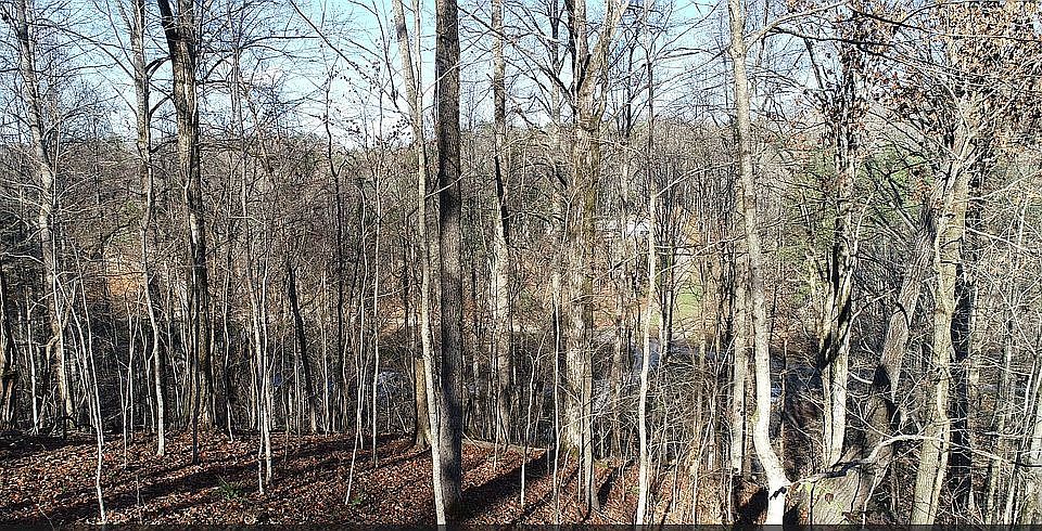 2nd image of 469 Mel Hall Rd