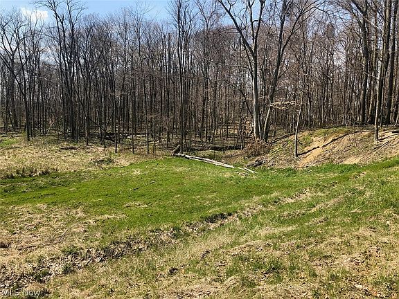 2nd image of Ravenna Ave NE