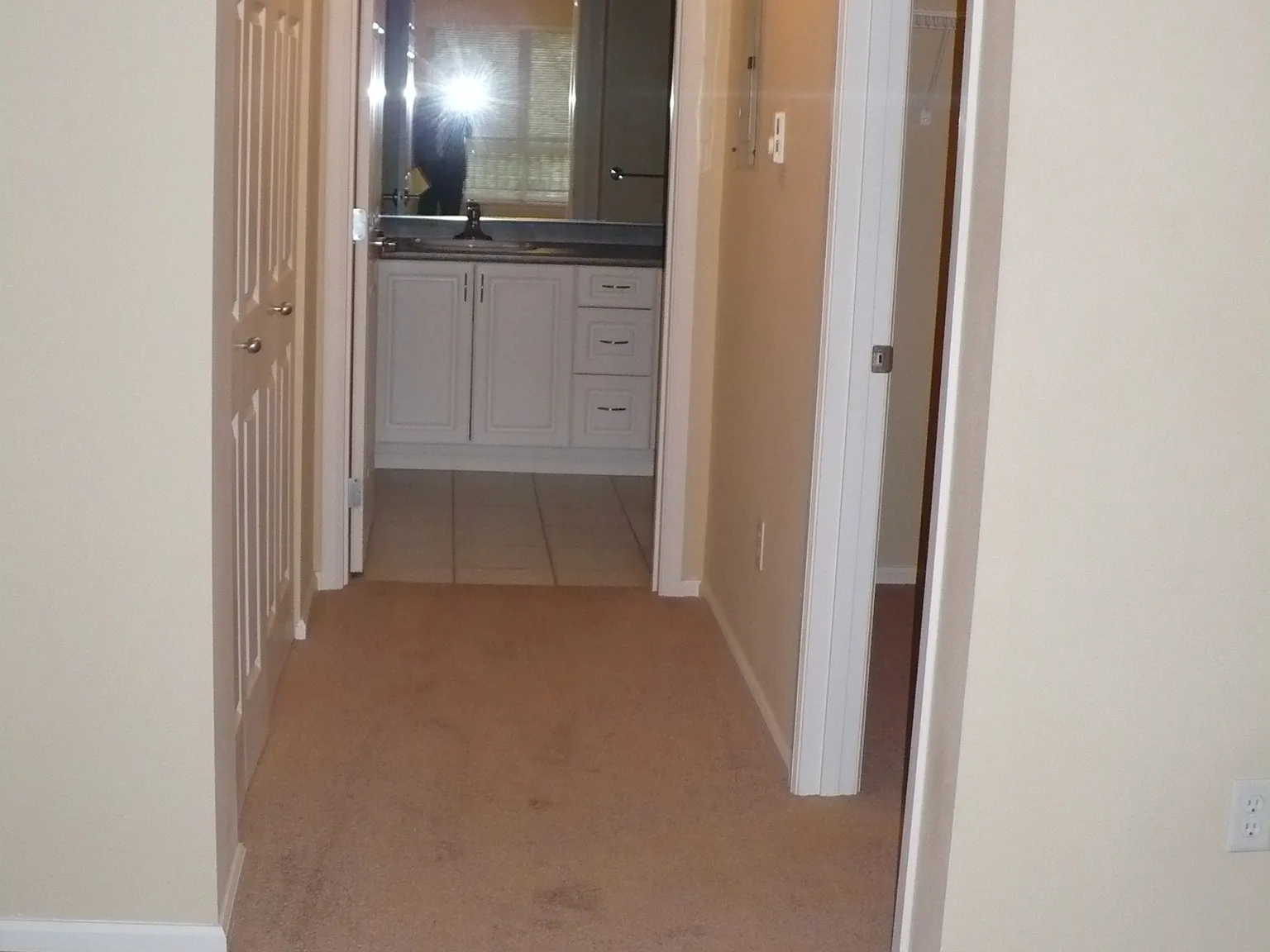 2 bed, 1253 sqft, $3,300 — Photo 3