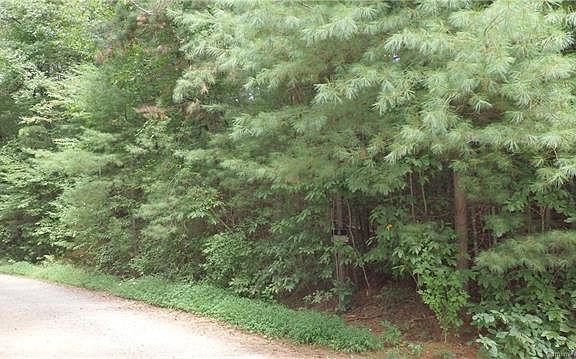 3rd image of Turkey Creek Ct Lot 20