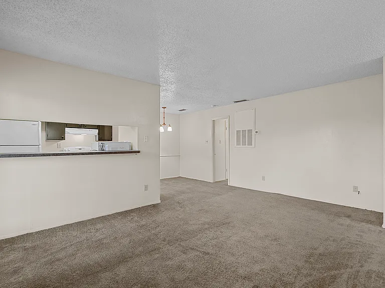 5981 Arapaho Rd #1203 — Photo 6