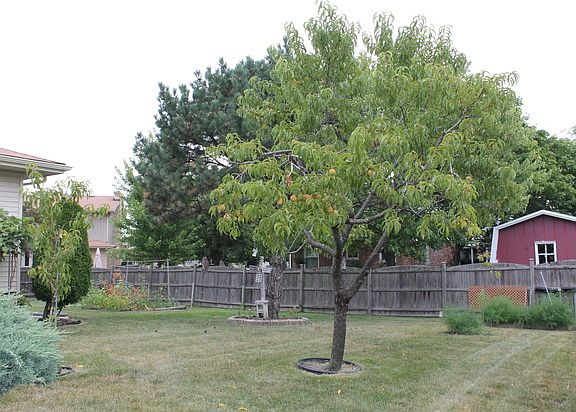 5th image of 13735 S Tamarack Ln