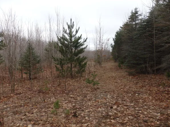 Glovers Lake Rd, Bear Lake, MI 49614