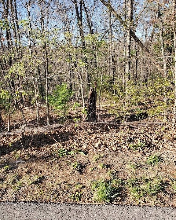 1st image of Munster Dr #15