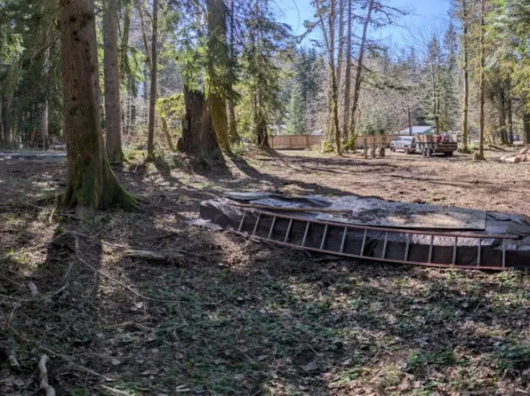 55912 317th Avenue E, Ashford, WA 98304