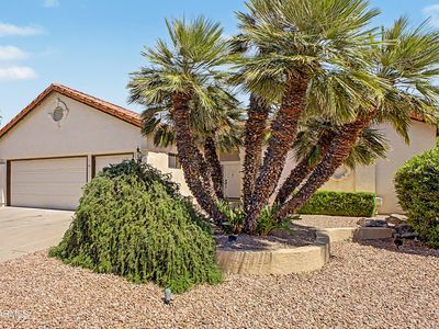 25241 S HOLLYGREEN Drive, Sun Lakes, AZ, 85248