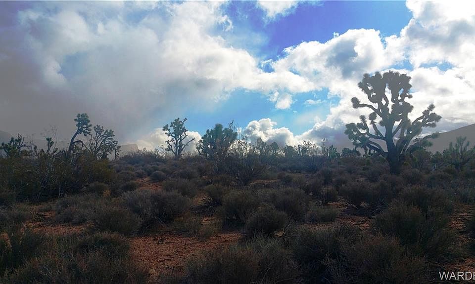 2nd image of 26696 N Yucca Rd