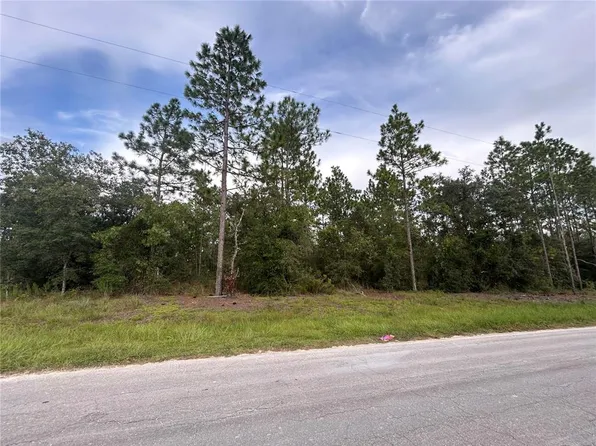 TBD NE 150TH AVENUE LOT 6, WILLISTON, FL 32696