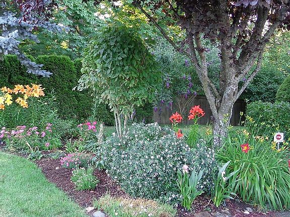 front yard flowers