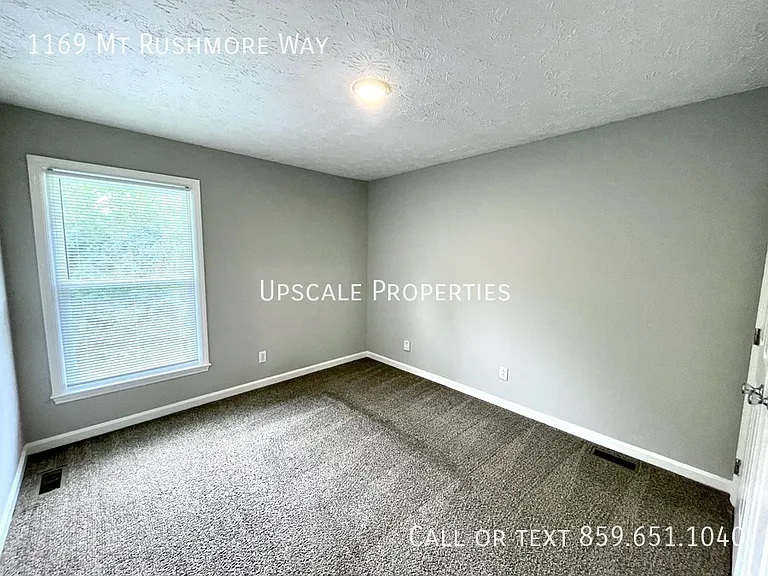 1169 Mount Rushmore Way — Photo 7