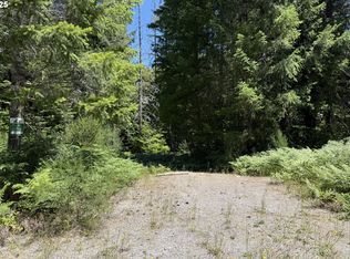 Lahar Ln #9, Cougar, WA 98616