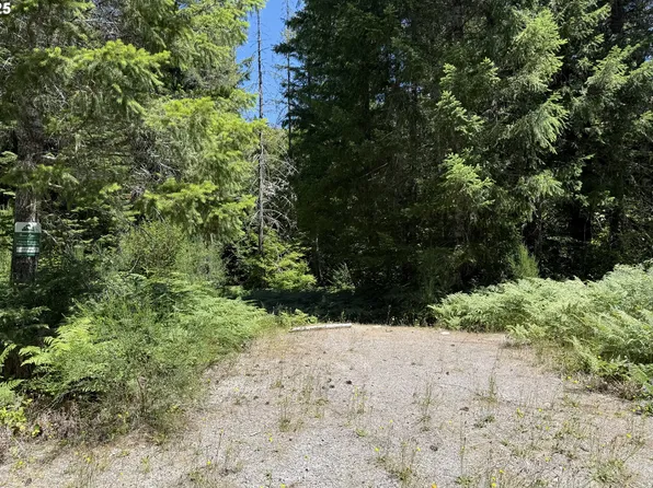 Lahar Ln #9, Cougar, WA 98616