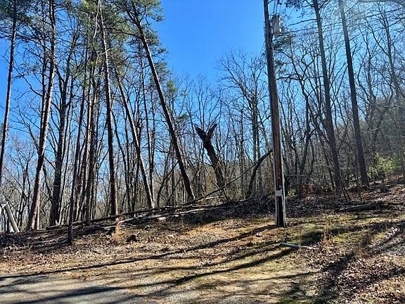 2nd image of 125 Gum Wood Ct