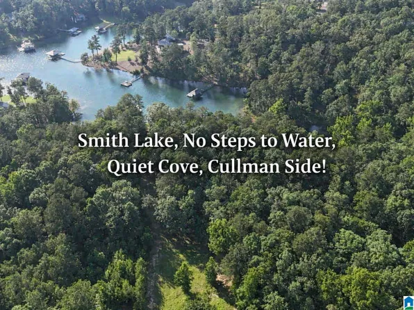 0 County Road 182 #116, Crane Hill, AL 35053