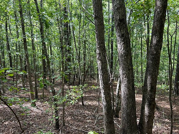 3rd image of 0 County Road 87