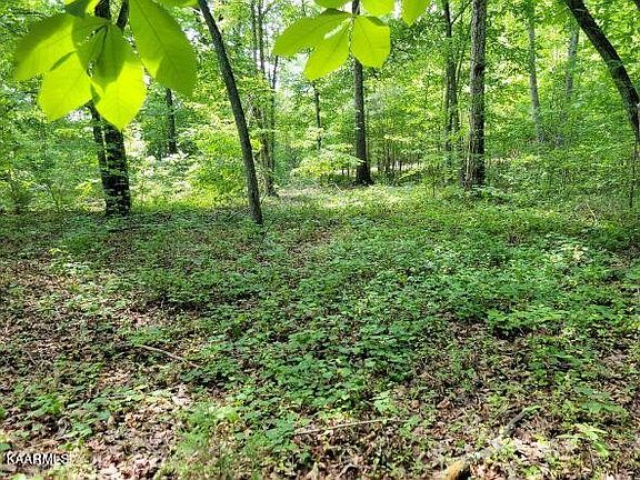 4th image of 0 Royal Crest Dr Lot 29