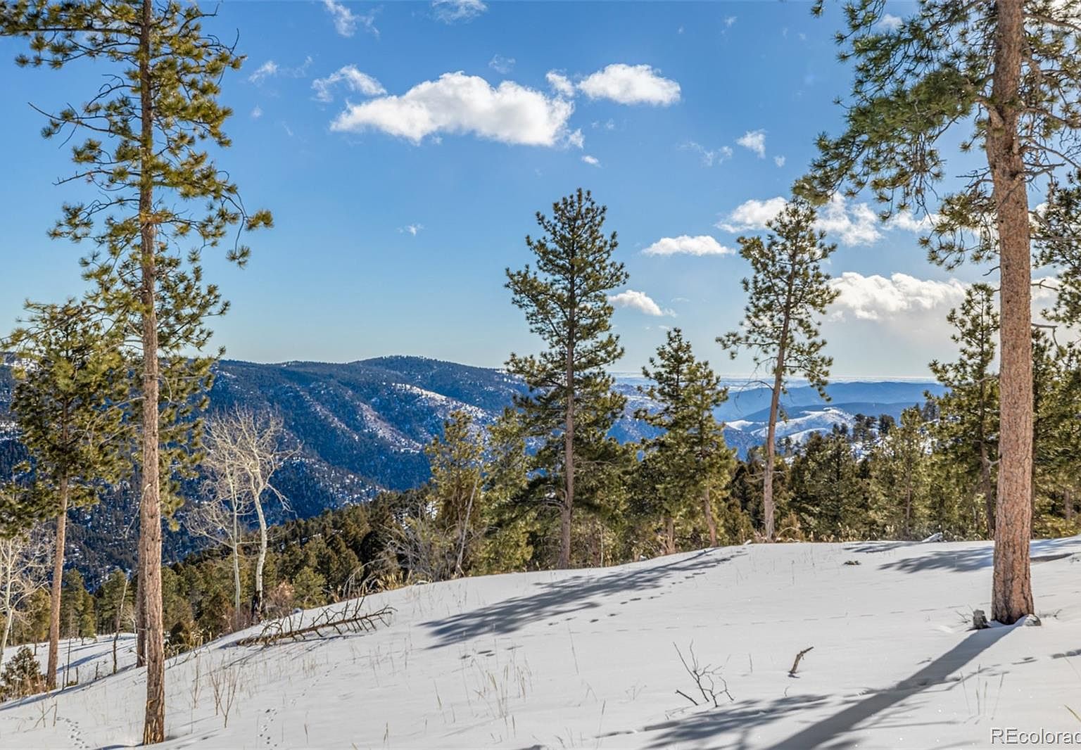 13144 Pine Country, Conifer, CO 80433 MLS 4137570 Zillow