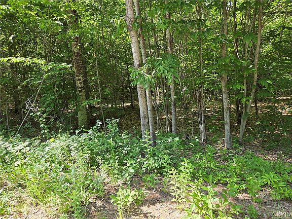 3rd image of 7399 Penny Settlement Rd Lot 6