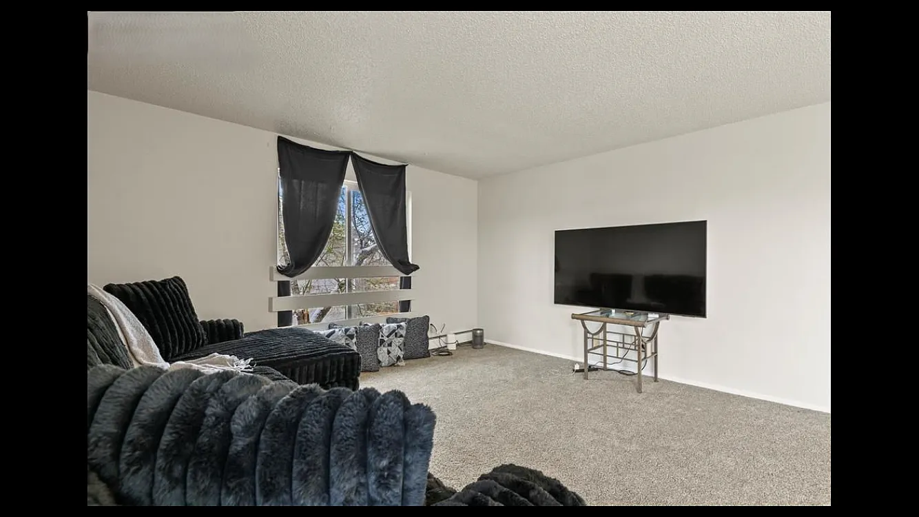 2 bed, 1.0 bath, 800 sqft, $1,145 — Photo 4