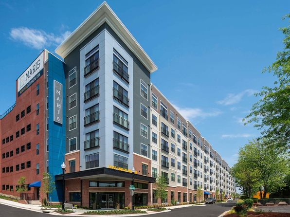 2445 Holly Ave #430