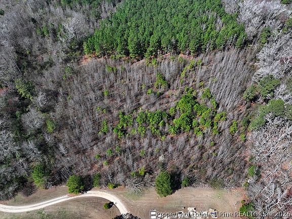 2nd image of Glory Light Rd