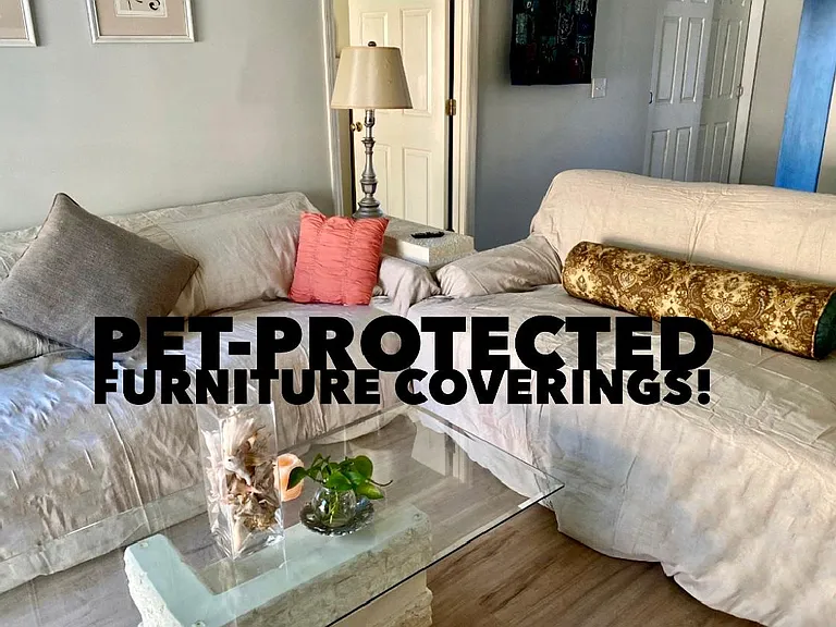 If you bring a small dog, couches will be covered and rugs put up prior to your arrival.