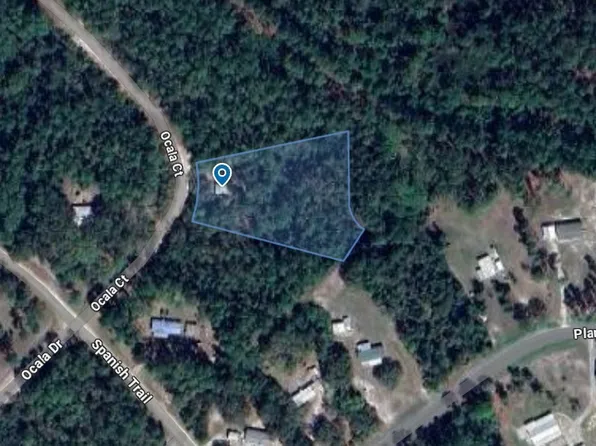 204 Ocala Ct, Georgetown, FL 32139