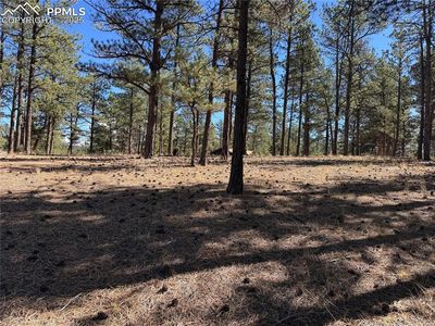 382 Blue Mountain Dr, Florissant, CO, 80816