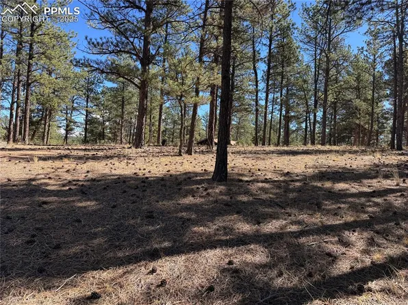 382 Blue Mountain Dr, Florissant, CO 80816