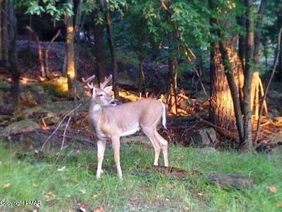 LOT D40 Chestnut Rd, Lake Harmony, PA, 18624