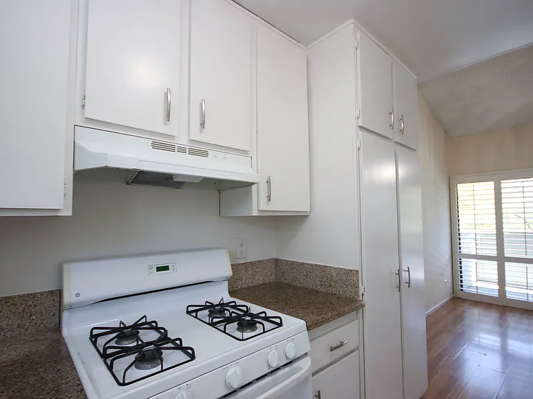 542 N Orange Grove Blvd — Photo 8
