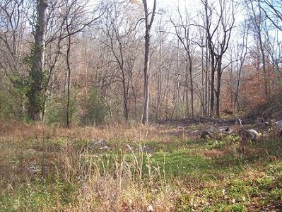 173 Linden Rd, Centerville, TN, 37033