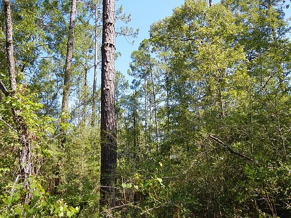 4th image of 10815 Beverly Jeffries Hwy