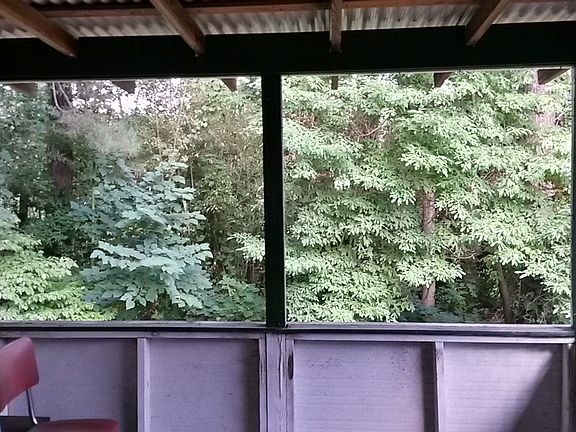 View from back deck