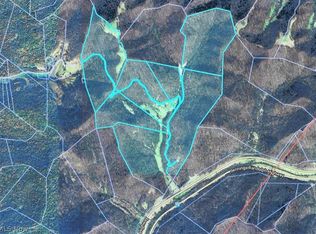 Blown Timber, Newton, WV 25266