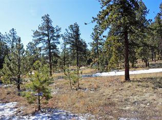 4441 Campfire Rd, Hartsel, CO 80449