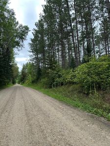 Dentaybow, Littlefork, MN, 56653