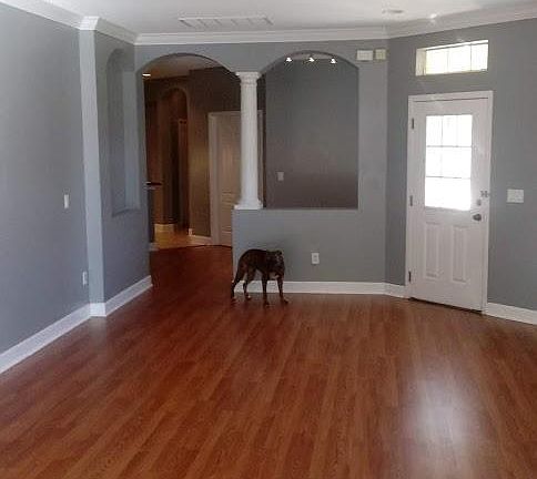 Entrance and Living Area
