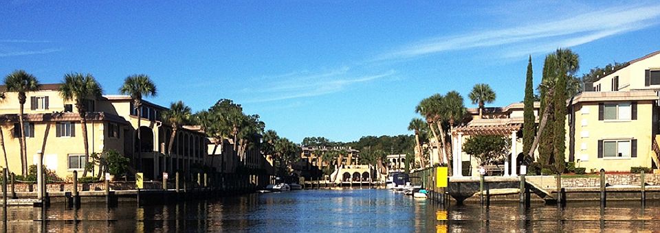 View from Ortega River