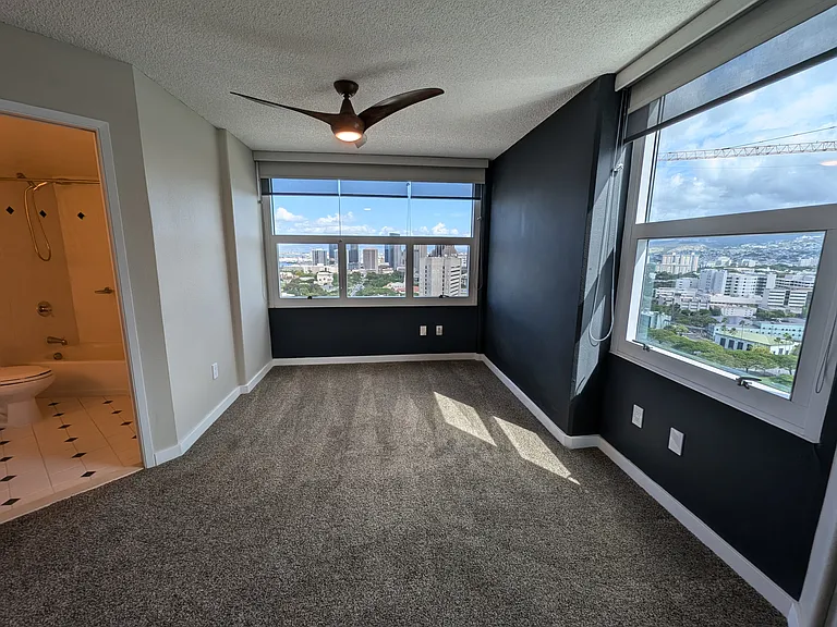 801 S King St #2907 — Photo 27